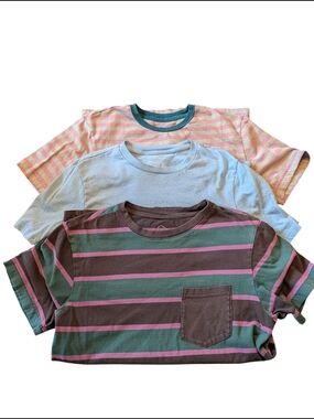 No Boundaries Men's Short Sleeve Striped Tee Trio - Grey, Purple, Blue